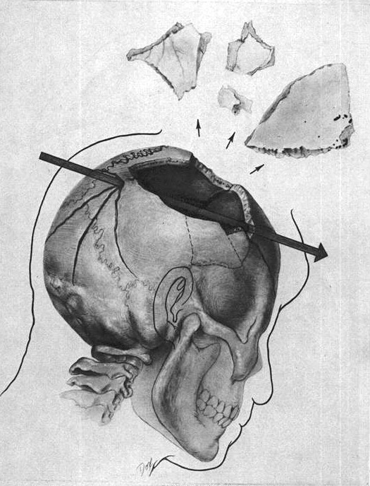 diagram1.jpg