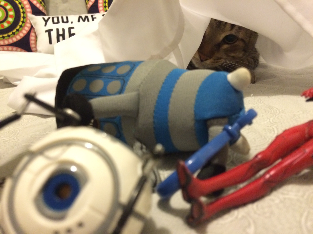 cat2.jpg