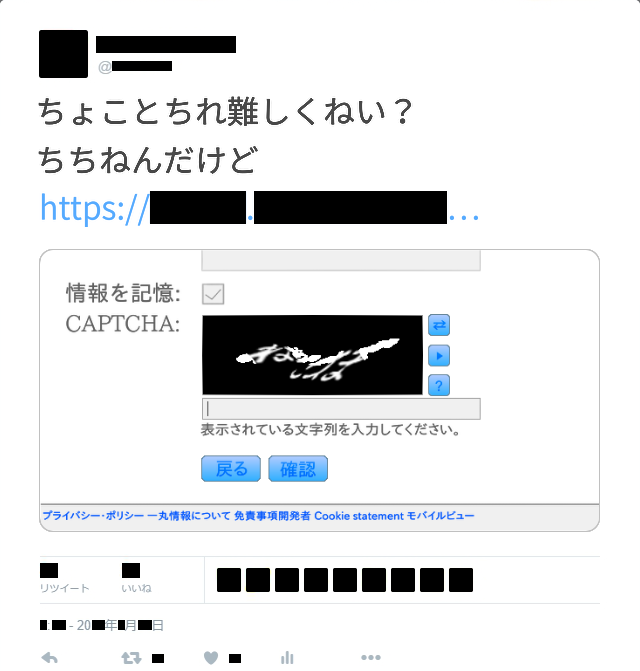 Tw-1100-JP.png