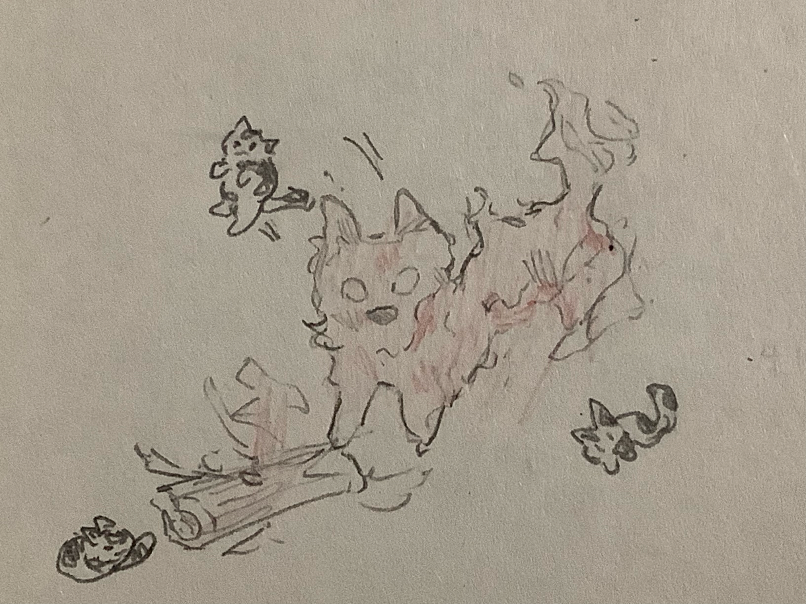 小猫乐园