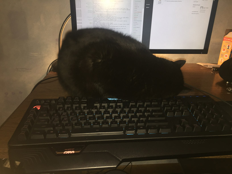 cat-small.jpg