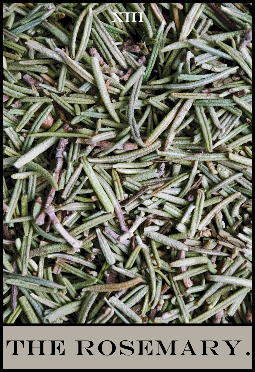 the_rosemary.png