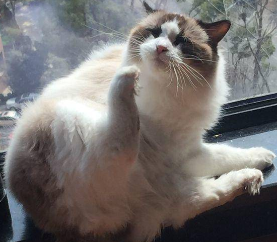 233.png