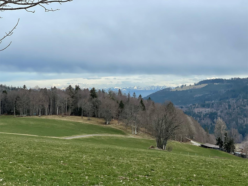 ValléeVuEnHaut.png