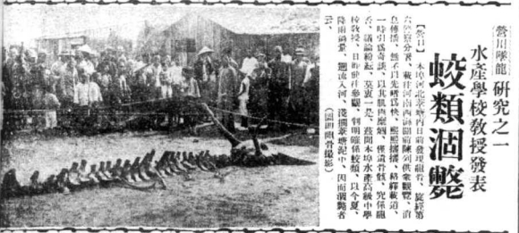 PHOTO-News-Gragon.jpg