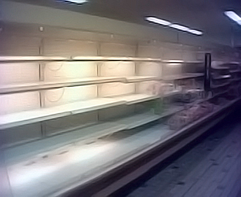 Shelves.jpg