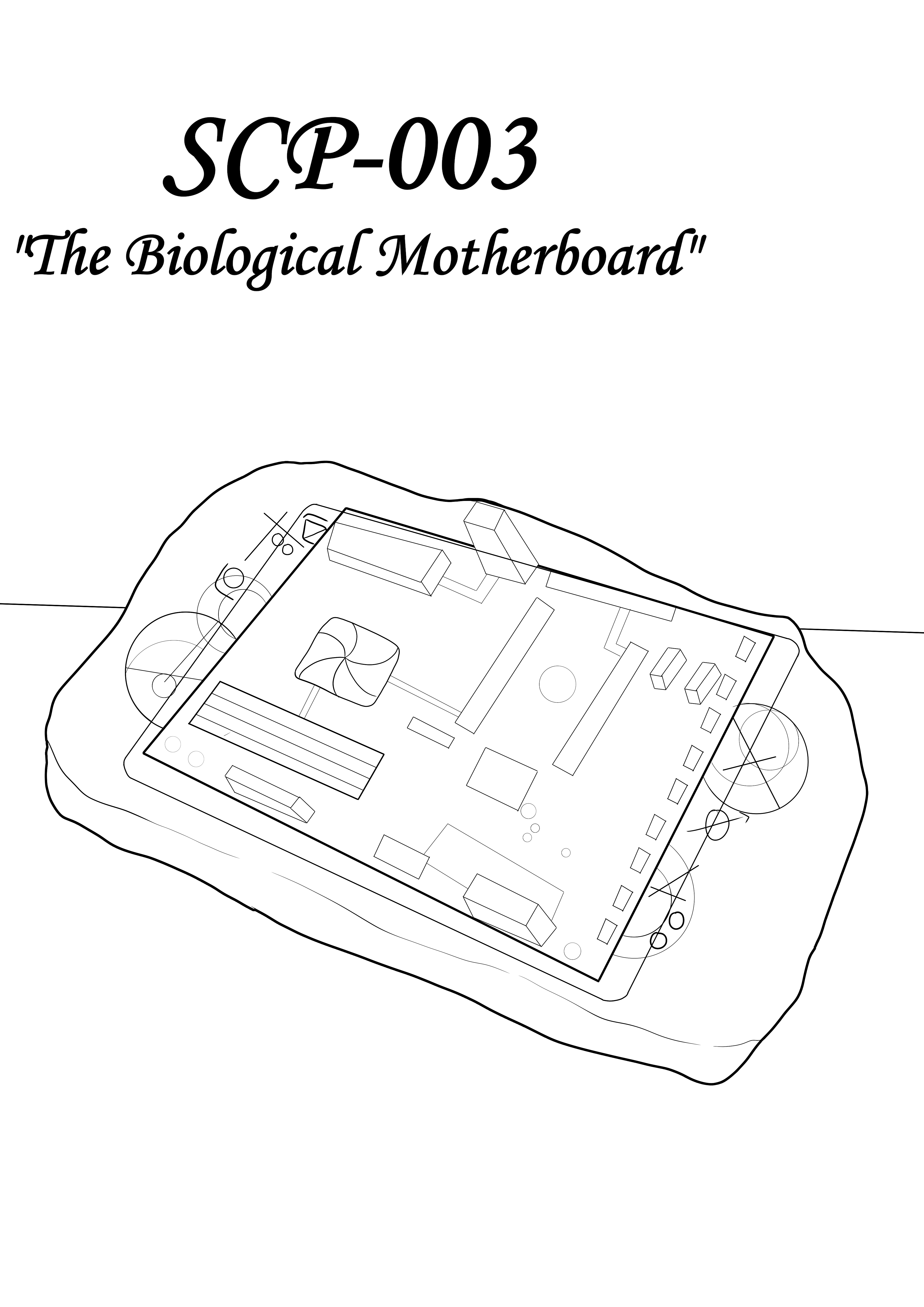 page_3.jpg