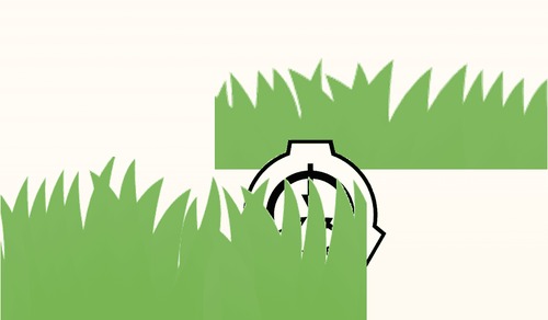 medium.jpg