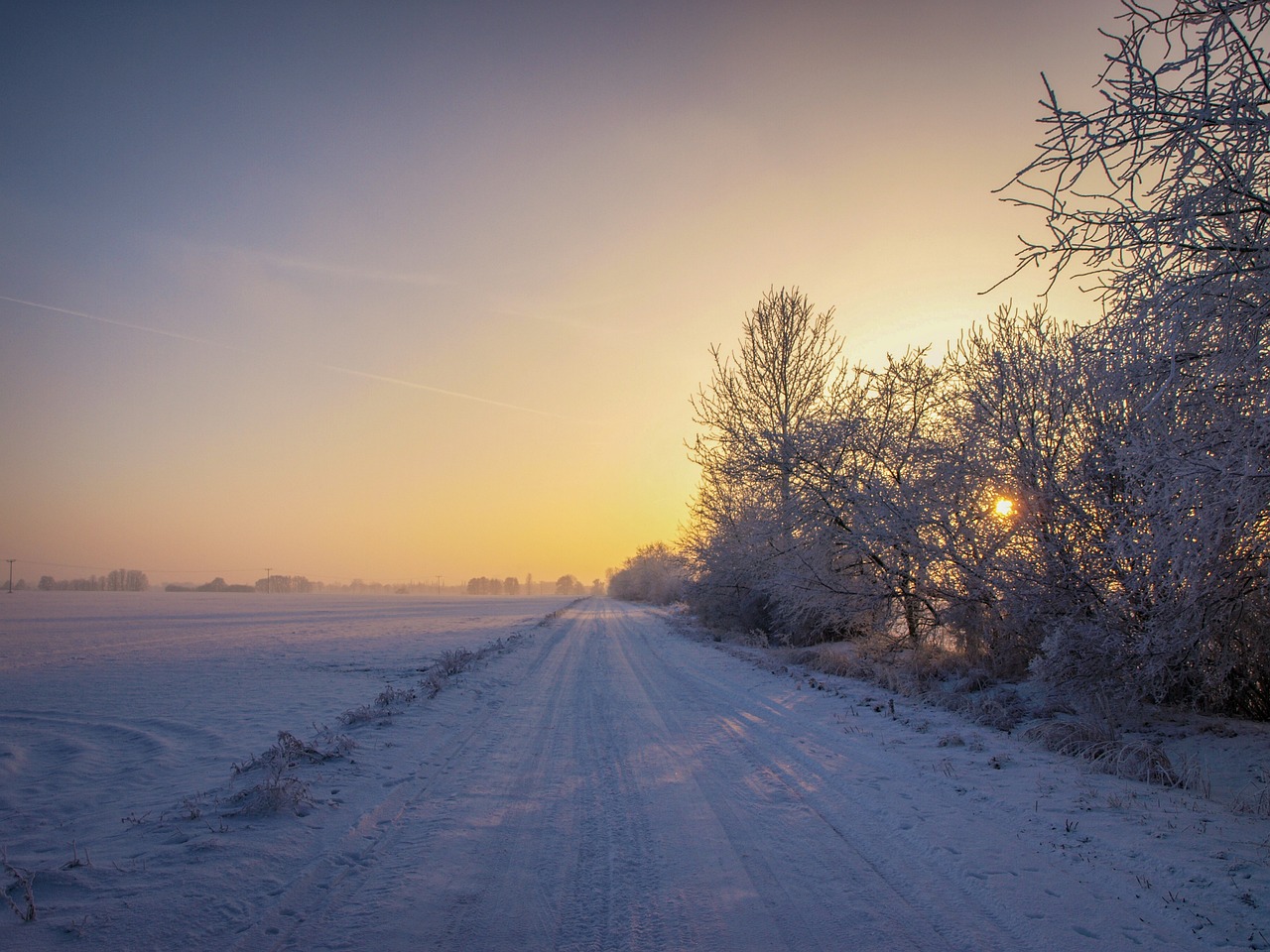 winter-1994974_1280.jpg