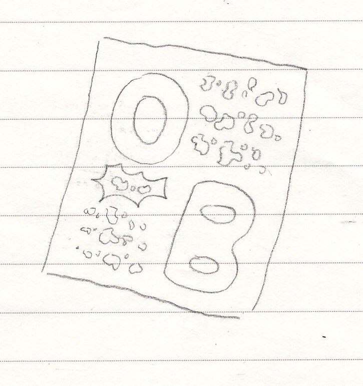 7972.jpg