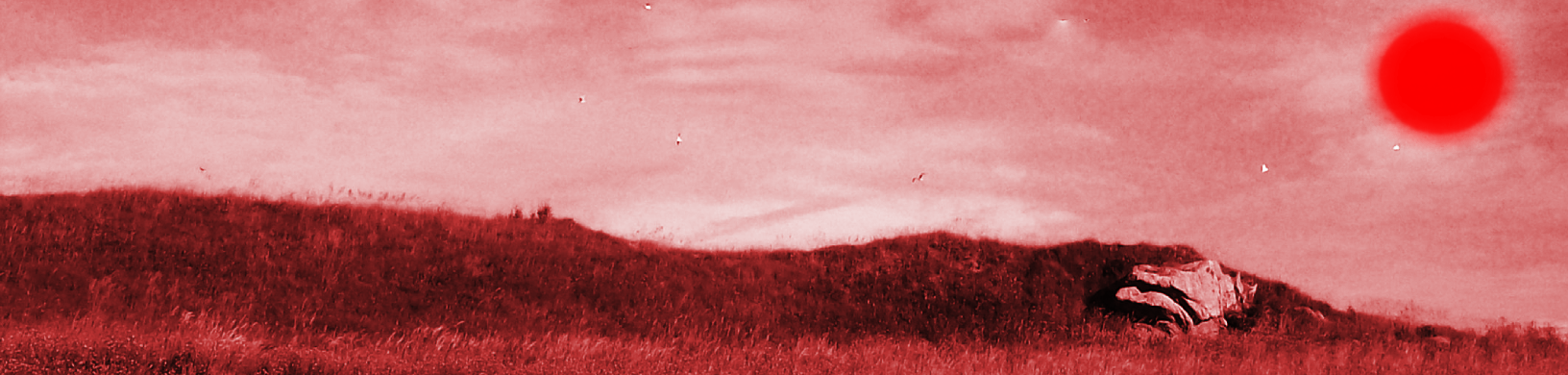 Grasslands.png