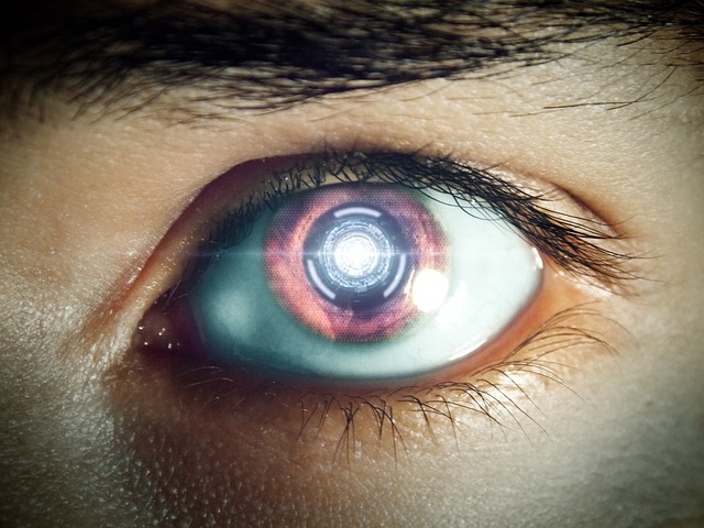 future-175620_640.jpg