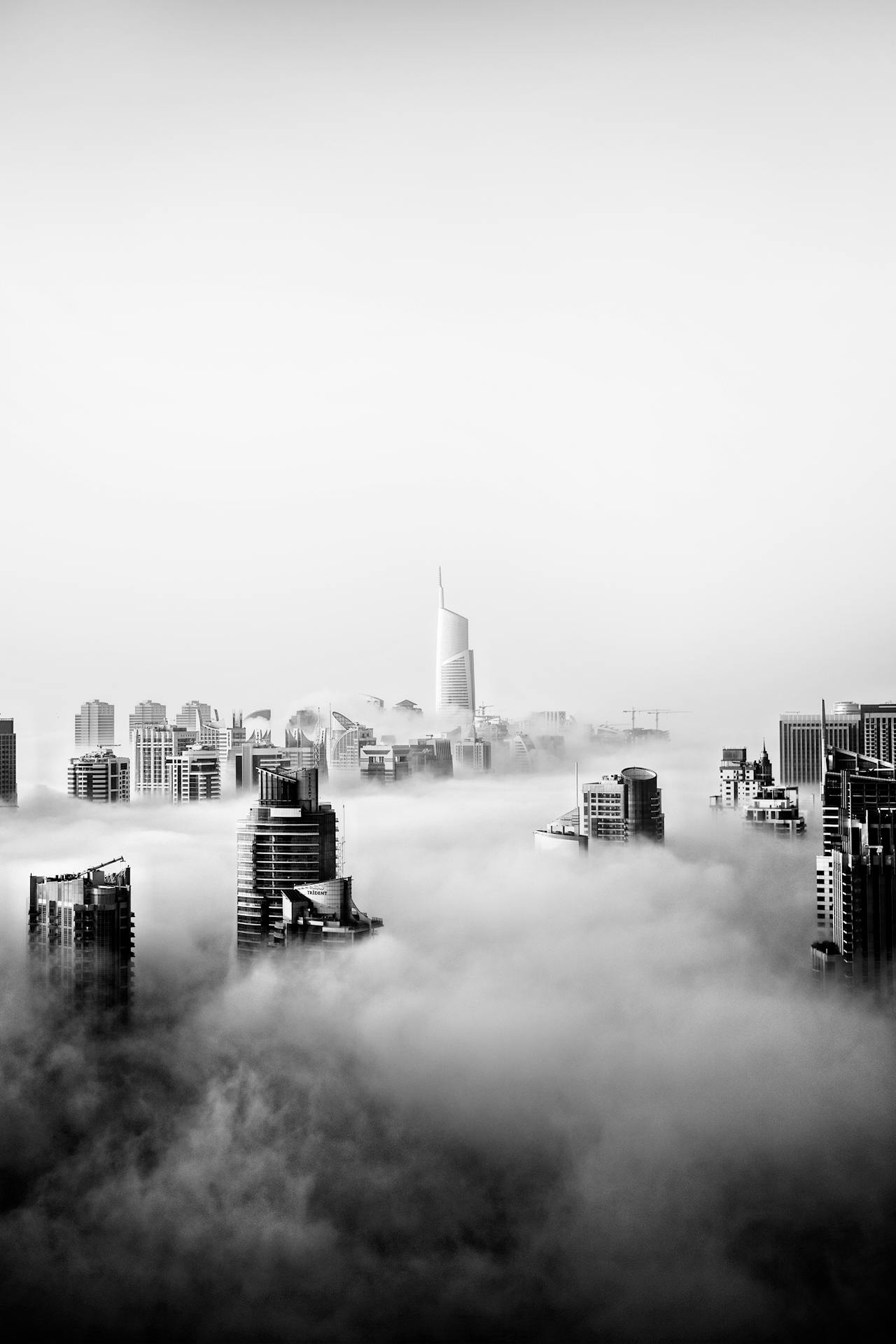 fog