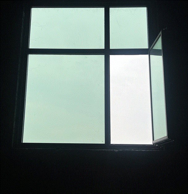 pic2.gif