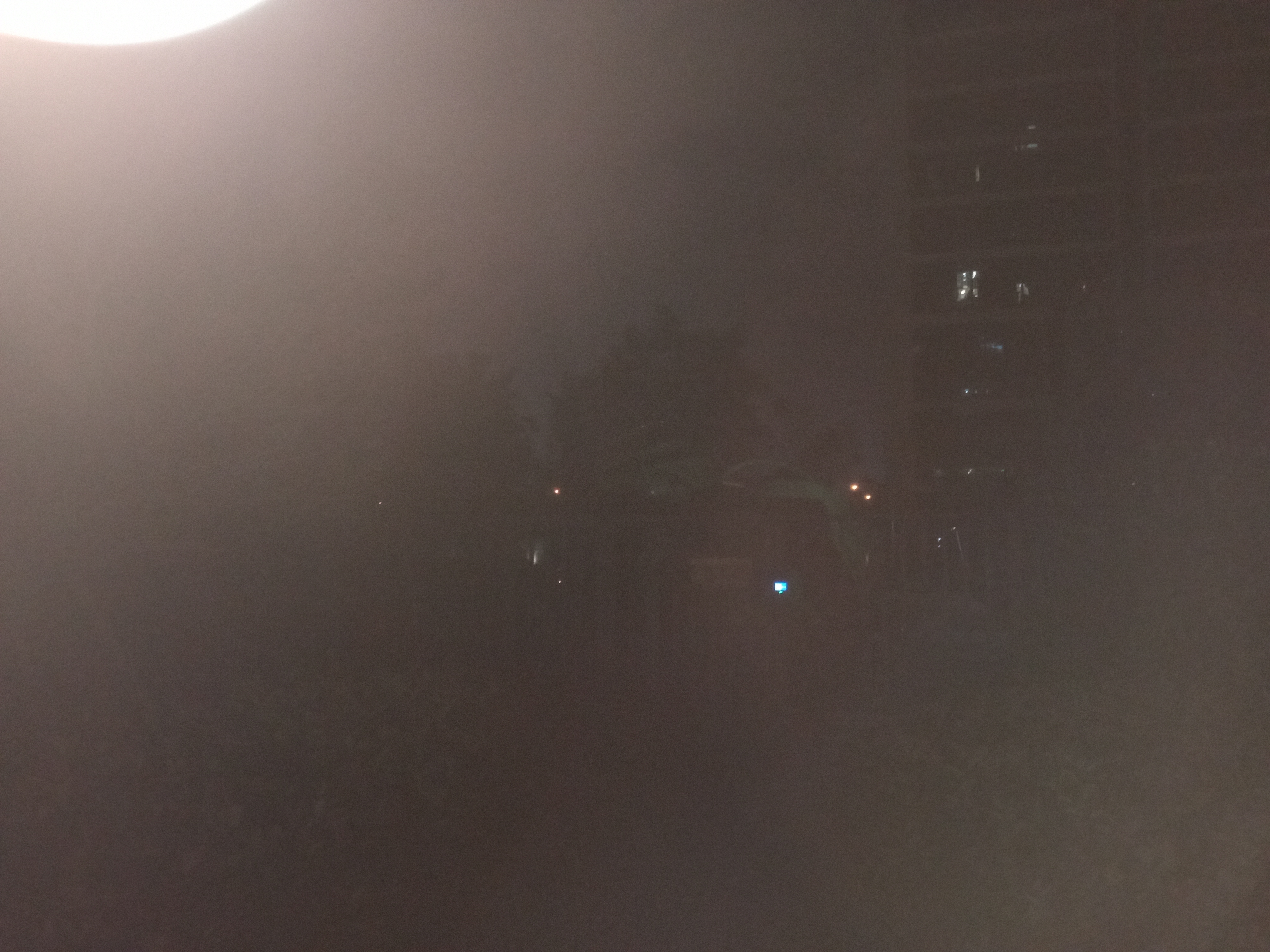P20624-221547.jpg