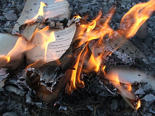 512px-The_House_of_Leaves_-_Burning_4.jpg