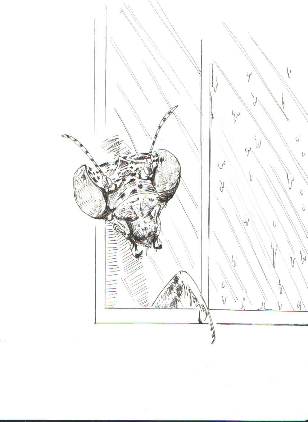 manga2