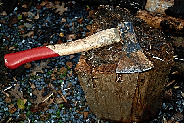 axe-367473_640.jpg