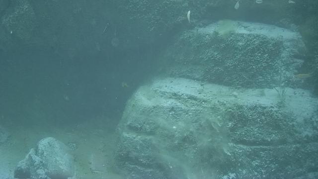 2ab725302e814512887fc88d70af05bc.jpeg