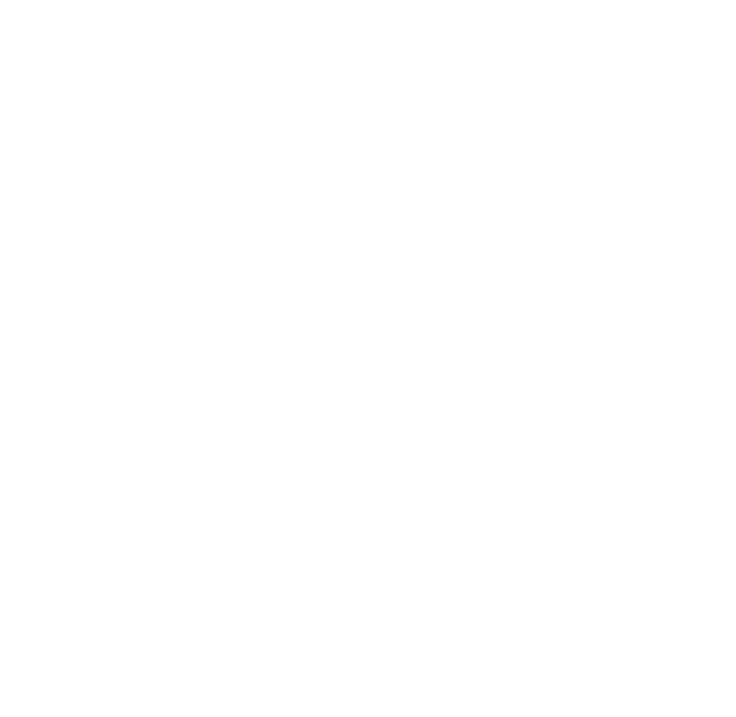 DSAlogo