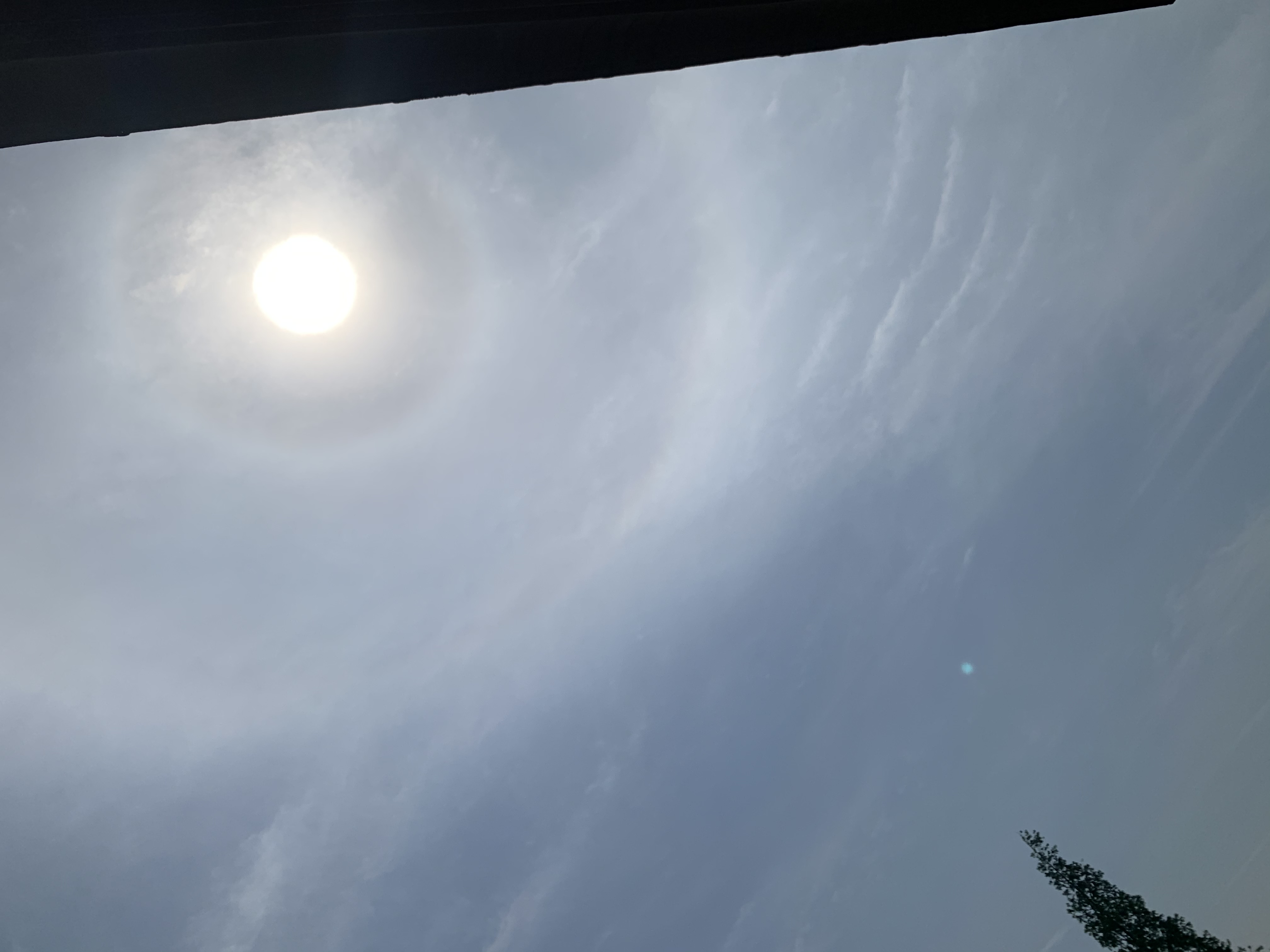 9halo