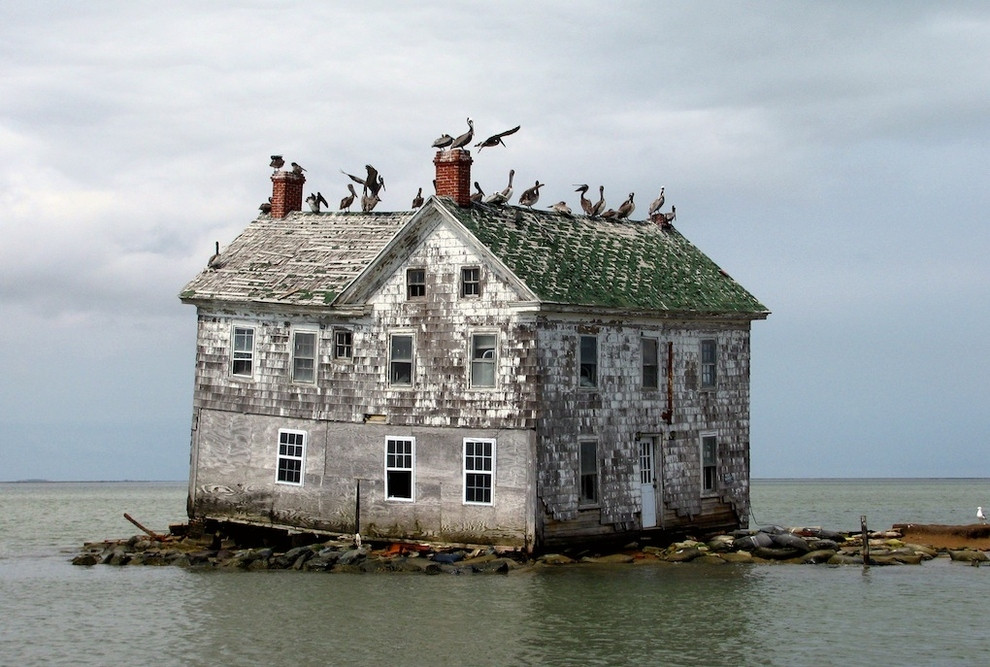Home.jpg