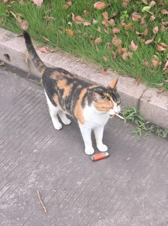 QQ20260708-120358.jpg