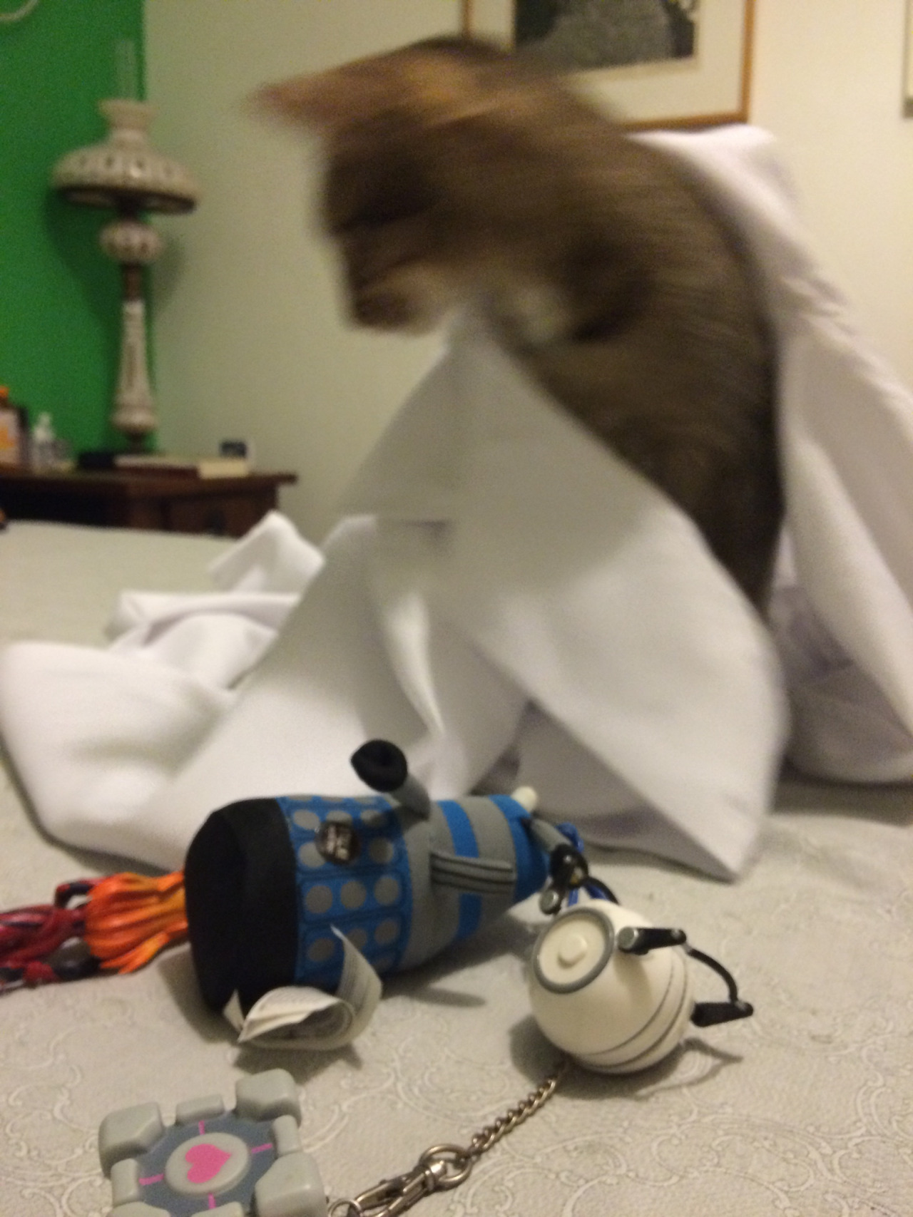 cat3.jpg