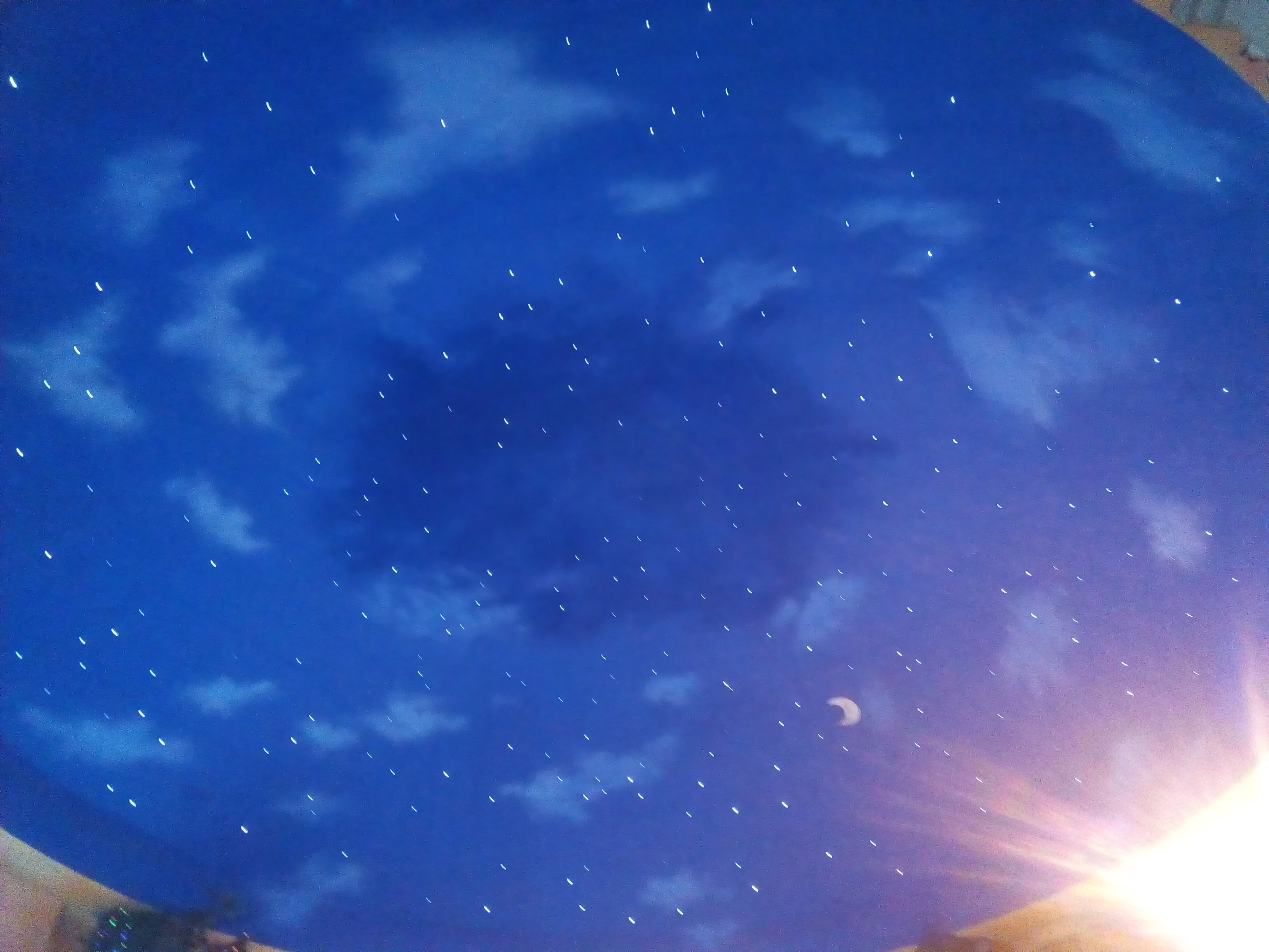 Canopy