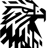白头鹰
