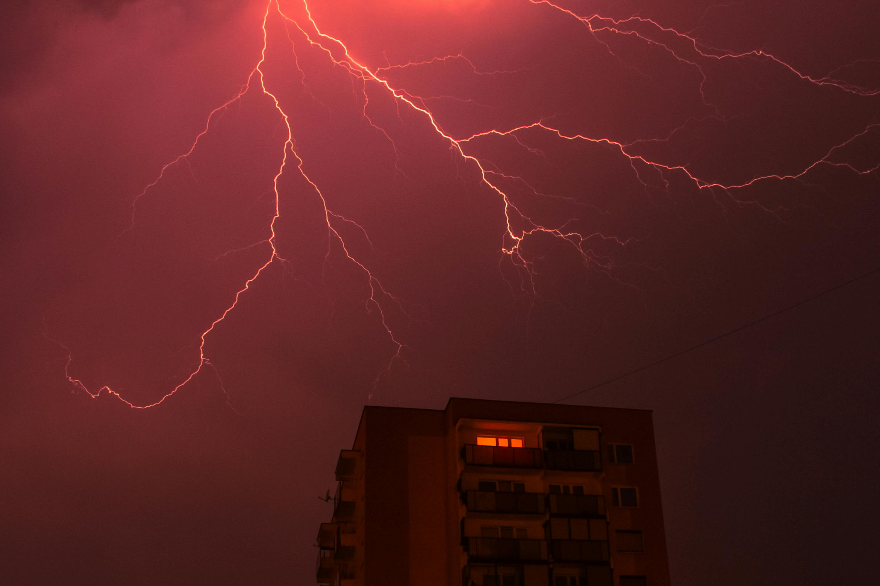 pexels-jwvein-11691449.jpg