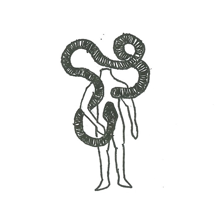 breakdown of egg structure doodle.jpeg