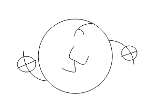 li2.png