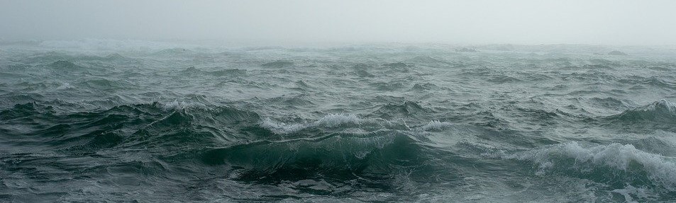 fog-1850228_960_720 (2).jpg