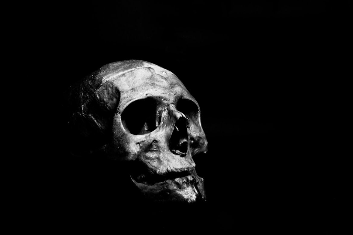 skull.jpg