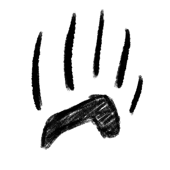 8.png