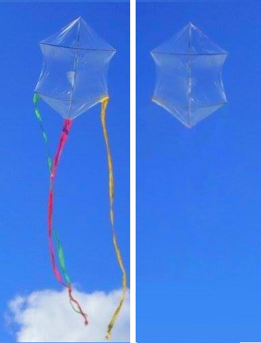 AlleraReyKite3.jpg