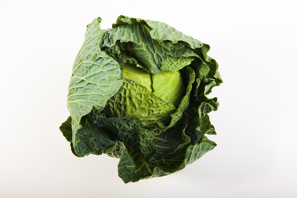 green-1939664_960_720.jpg