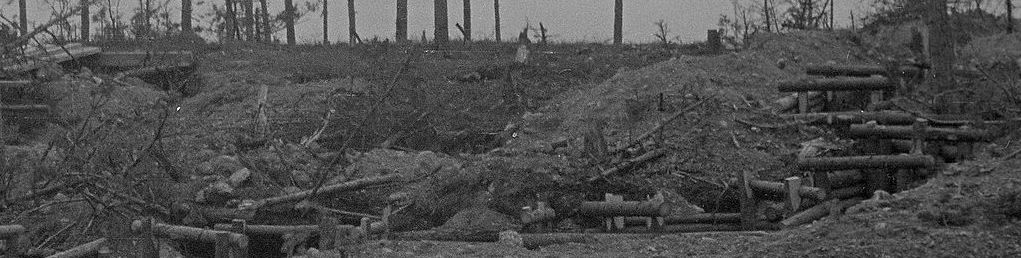 trenches.jpg