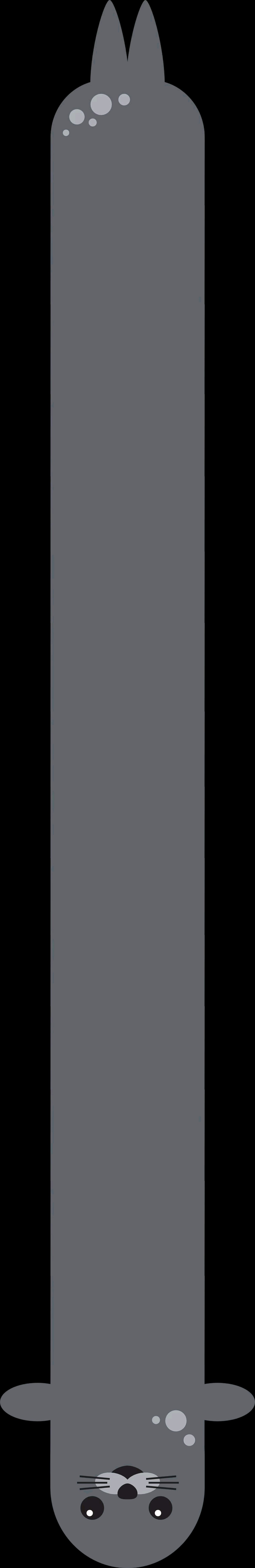 海豹