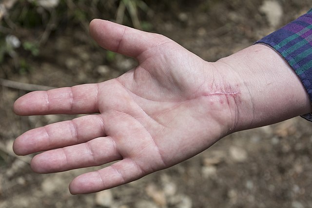 hand.jpg