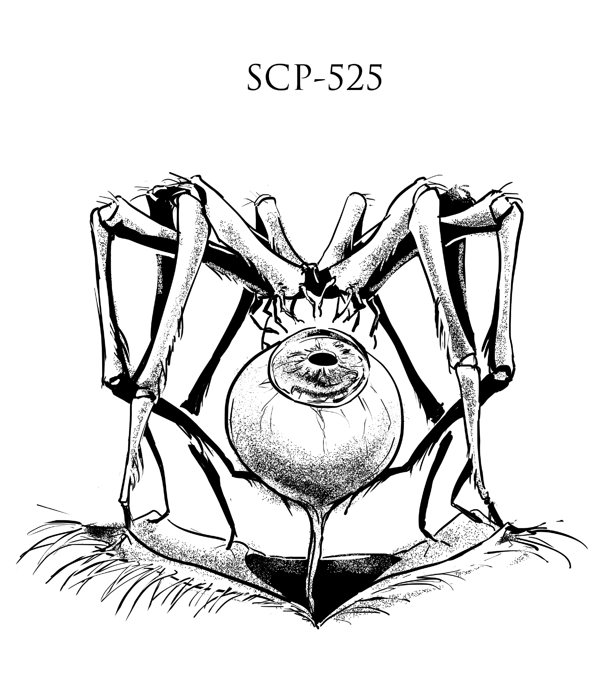 5c0fa2c8gy1fw7wnawde7j21kw1qpnpd.jpg