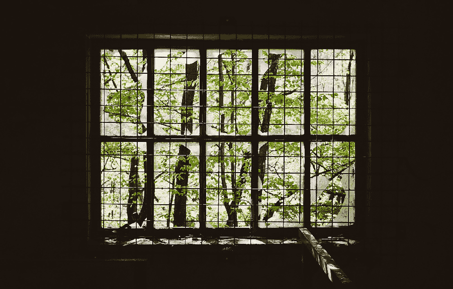 StockSnap_07BA5A89E8.gif