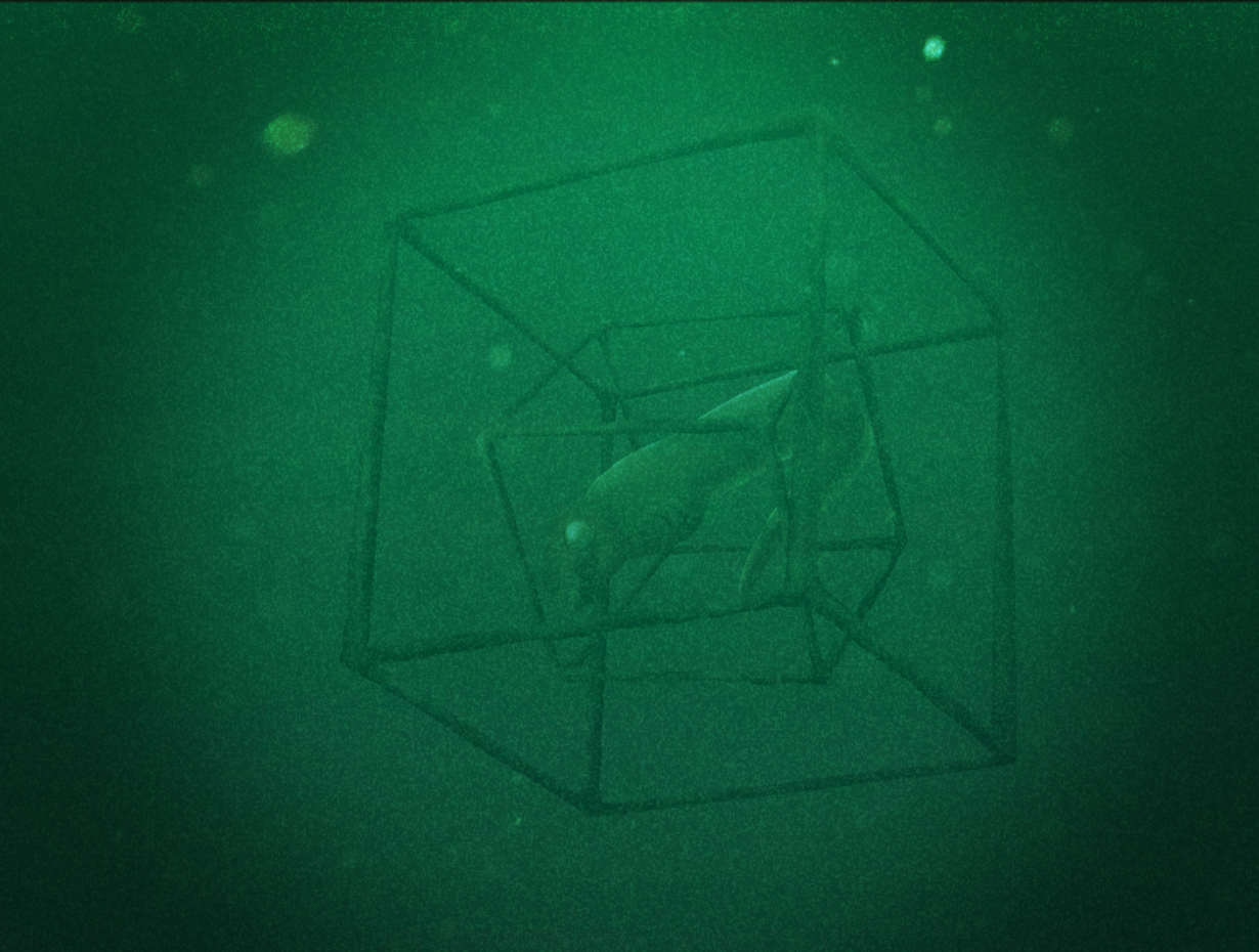 SCP-8127