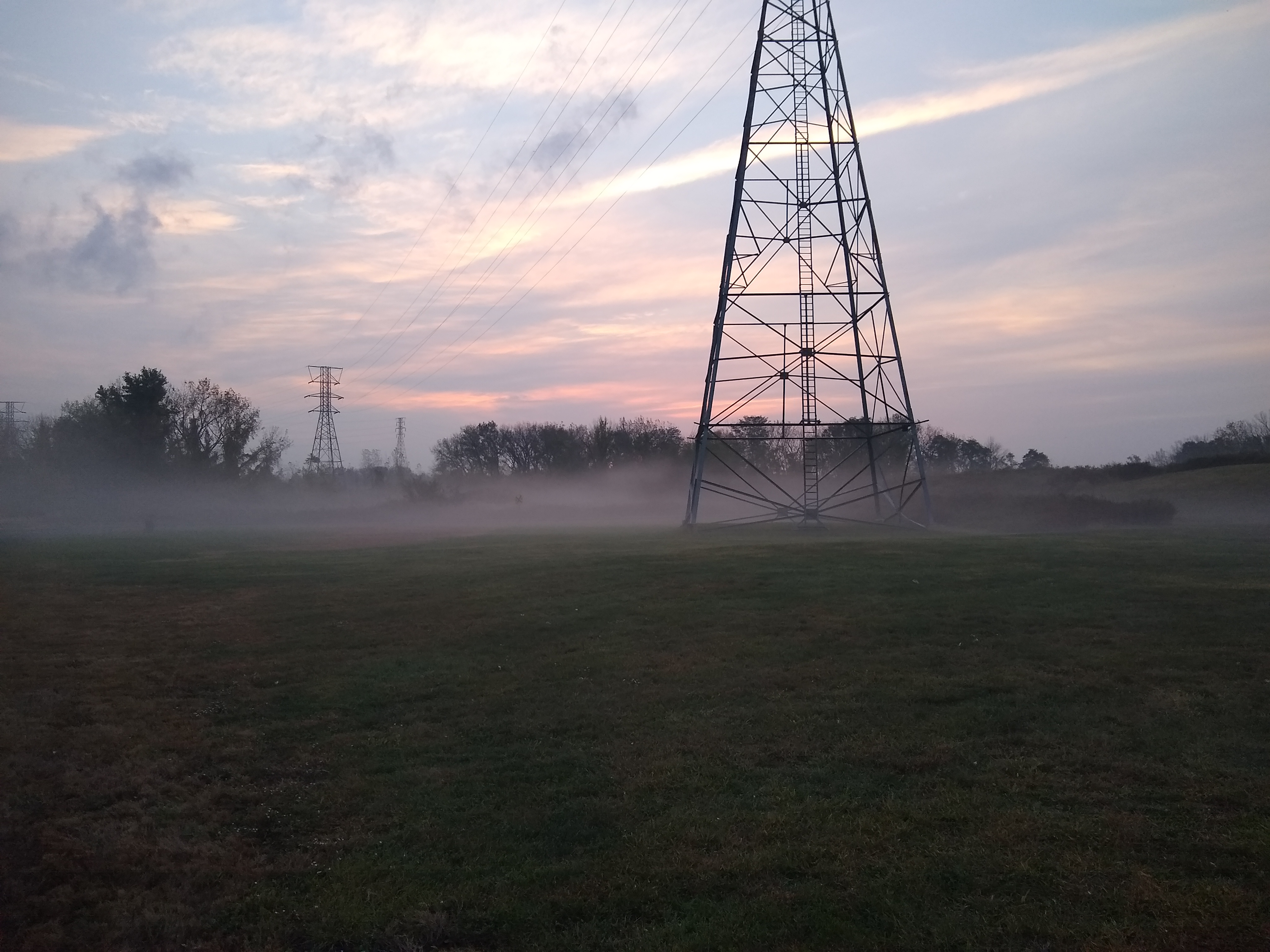 fog3.jpg