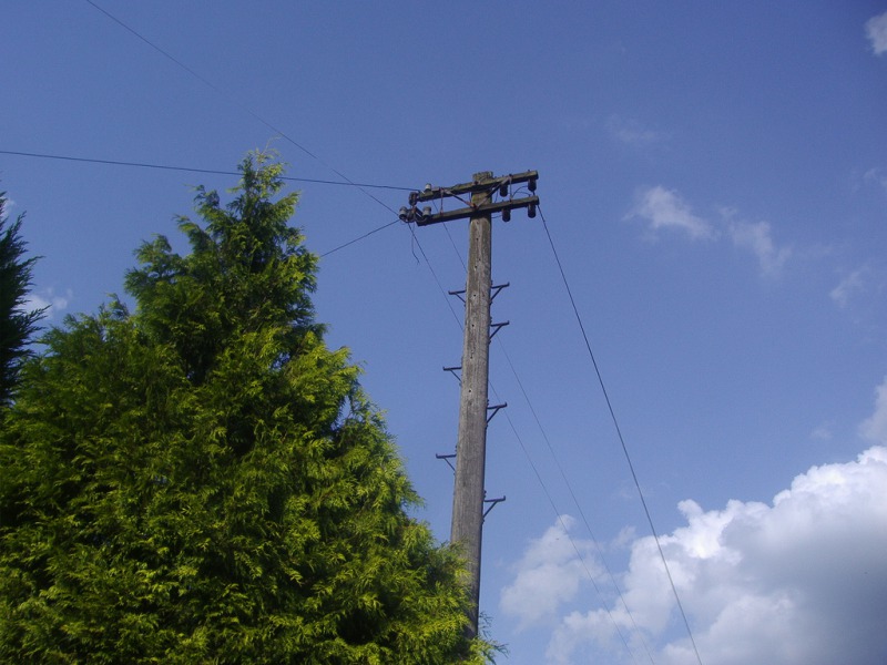 s_3805001844_62c7916fdc_b-2.jpg