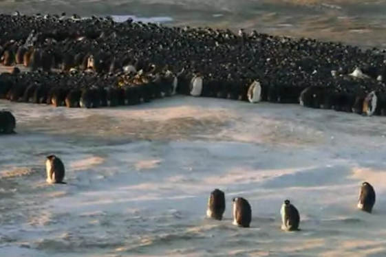 active_huddles.jpg