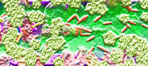 Inoculant.png