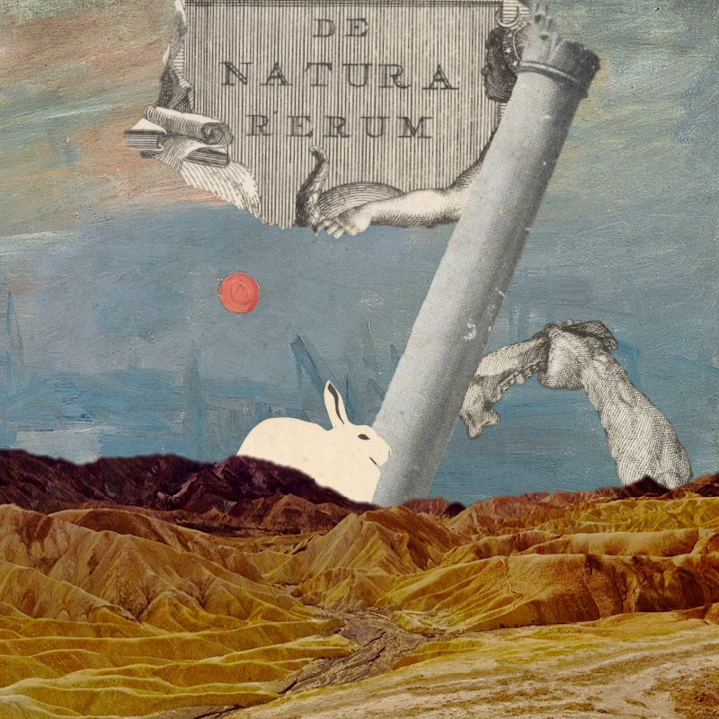 Natura-f.jpg
