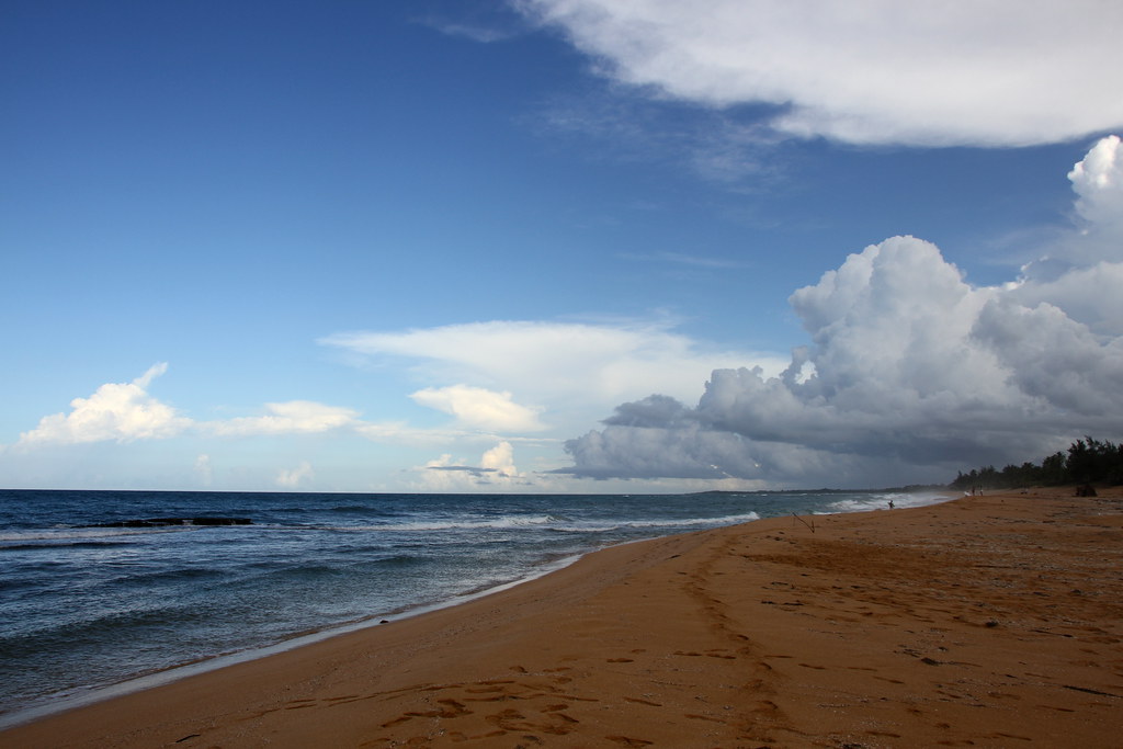 emptybeach.jpg